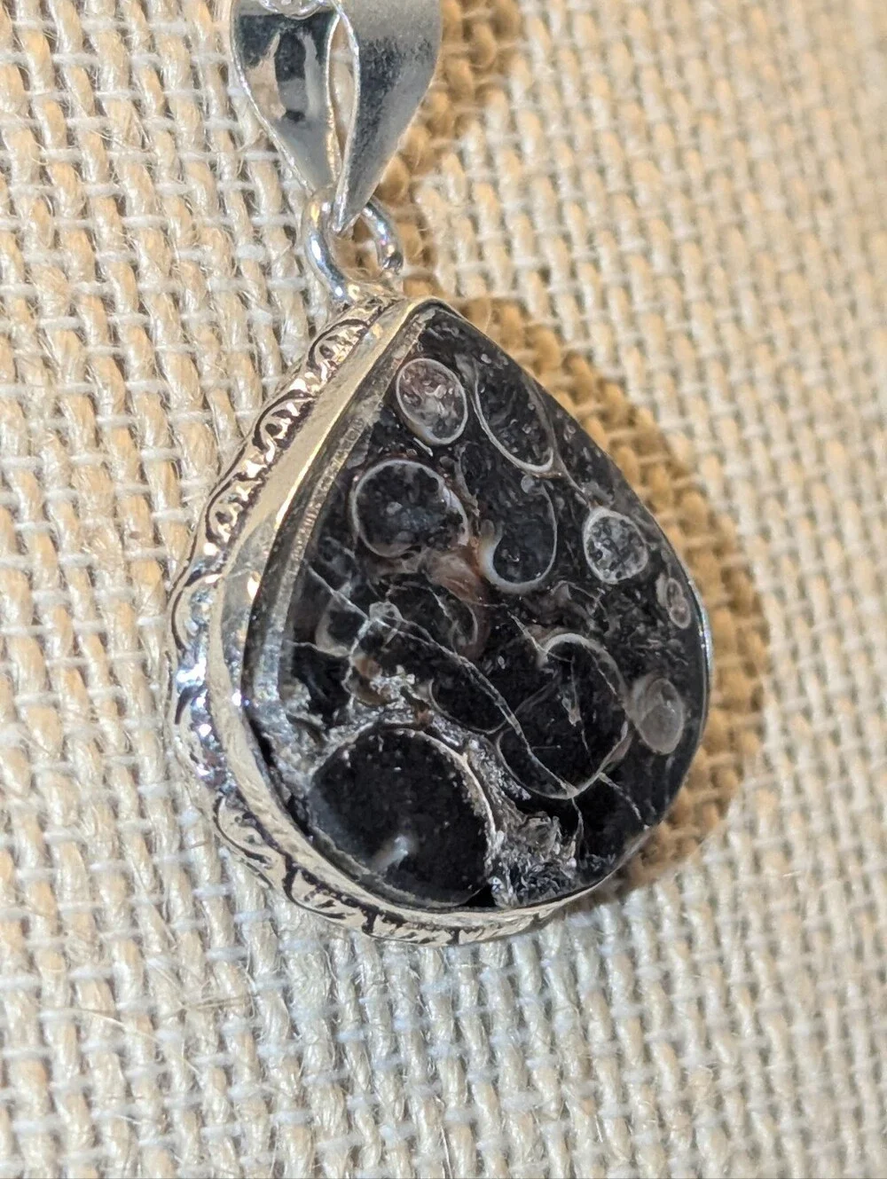 Turritella Fossil Agate Sterling Silver Pendant P052926-03